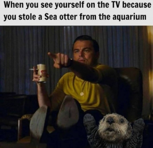 Stupid Bar Memes 008aad4df1233675