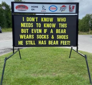 Stupid Bar Memes 0295f2db2a3beec9