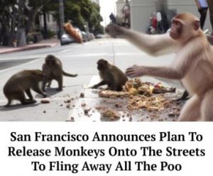 Stupid Bar Memes 02bef6219c5c30ed