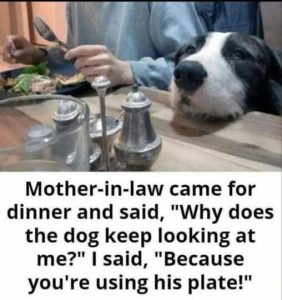 Stupid Bar Memes 038460e162a4df59