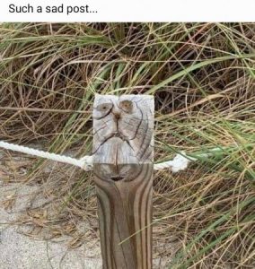 Stupid Bar Memes 0456563d772f57c5