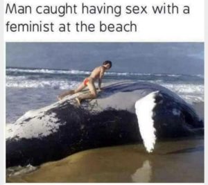 Stupid Bar Memes 0c34fe746d1395a5