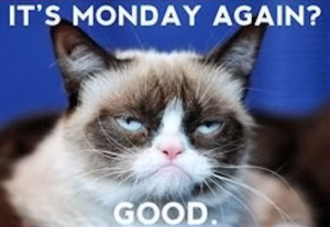 Stupid Bar Memes 130195sGrumpysCatsMonday