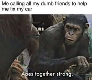 Stupid Bar Memes 1360c13415f01217