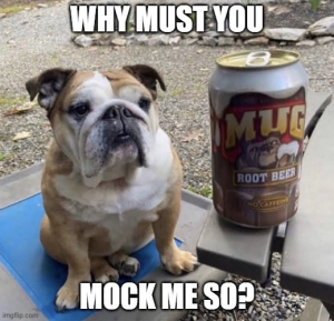 Stupid Bar Memes 162d525444a8b919