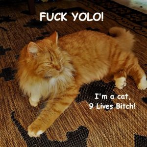 Stupid Bar Memes 16bc314958a5e5bd