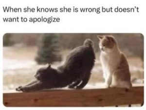 Stupid Bar Memes 18123a4da332e1e8