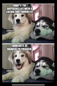 Stupid Bar Memes 19eb215d80c2579d