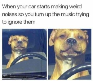 Stupid Bar Memes 1a4c8e85f428b1da