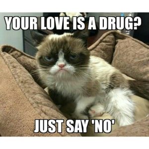 Stupid Bar Memes 1d14bab2fddb25b5b094129b5225be98sslovesissgrumpyscat