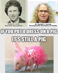 Stupid Bar Memes 1fe14e676dfbf77f