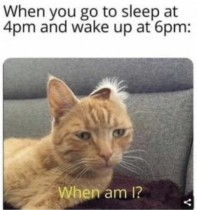 Stupid Bar Memes 23c63be96b1645be