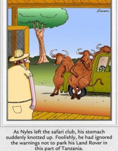 Stupid Bar Memes 26aacad836f659ca