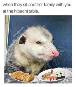 Stupid Bar Memes 289f02b4f1a0ca09