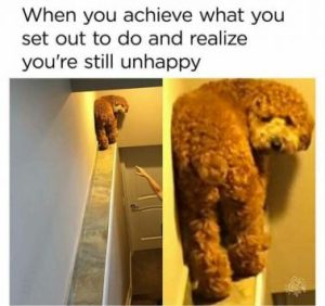 Stupid Bar Memes 2983e9db8592dcc7