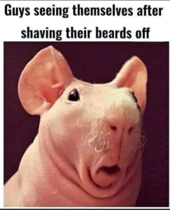 Stupid Bar Memes 299451e9e5de5d3e