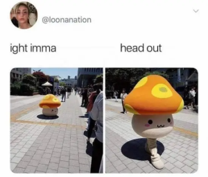 Stupid Bar Memes 2a0VToq