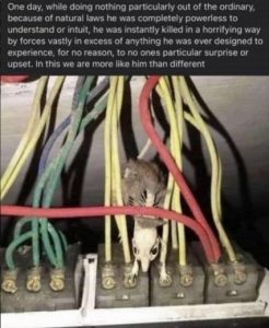 Stupid Bar Memes 2b46161cd7959b15