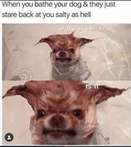 Stupid Bar Memes 2s2s1