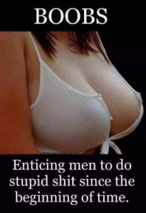 Stupid Bar Memes 3282907def11a36f