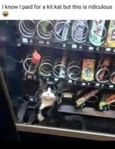 Stupid Bar Memes 32cfdd33c85bc4fb