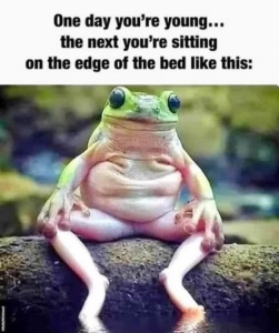 Stupid Bar Memes 3419cdd14d45881e