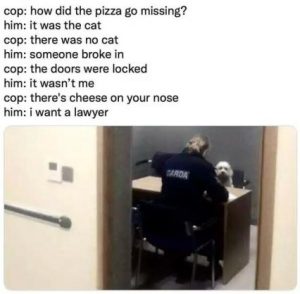 Stupid Bar Memes 36c6ec3e06ce5dd5