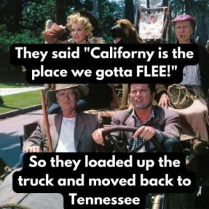 Stupid Bar Memes 3826d818165f7632