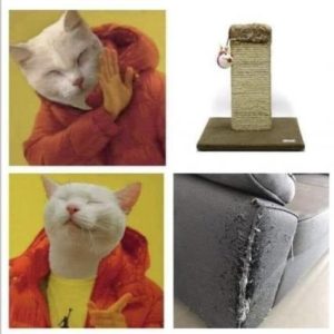 Stupid Bar Memes 3a4e340687adbefc