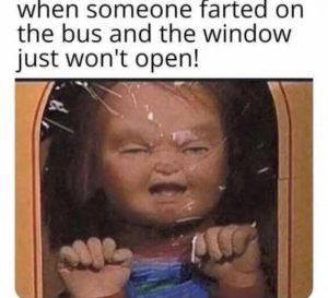 Stupid Bar Memes 3c645267cec047b9