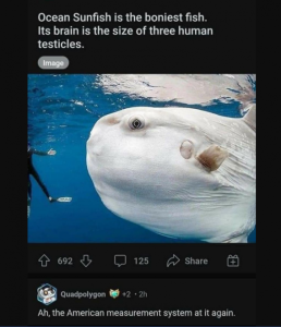 Stupid Bar Memes 3d7a236f91d0708a