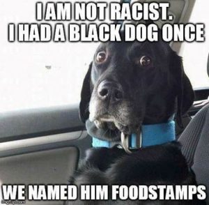 Stupid Bar Memes 3fbdc8f591345fcd