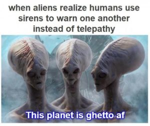 Stupid Bar Memes 3fbfd20ea002dbe7