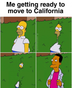 Stupid Bar Memes 3fc7a4eea10e2531