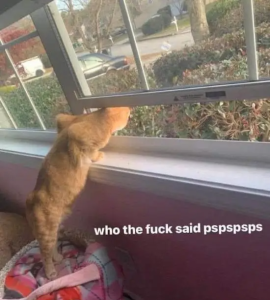Stupid Bar Memes 3naNbqA