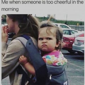 Stupid Bar Memes 4016bf7b4b5c573e