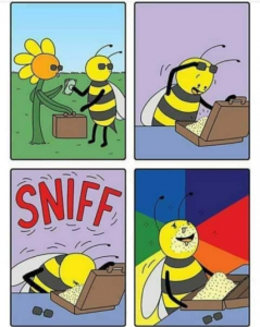 Stupid Bar Memes 40252e688afd548e