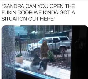 Stupid Bar Memes 425f7b5109a708bd91ffef83ed49a88c