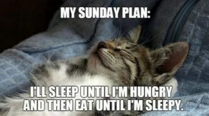 Stupid Bar Memes 44f13d8471219586