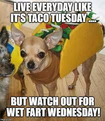 Stupid Bar Memes 452009c32eee48a5