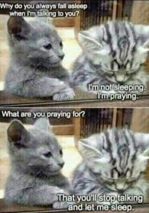 Stupid Bar Memes 4749d71076d7cec6