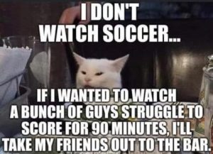 Stupid Bar Memes 4781226af13bf58e
