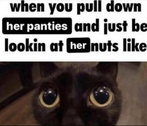 Stupid Bar Memes 4a2f6dd38d003546