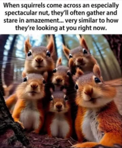 Stupid Bar Memes 4c9c5c49258f46b5