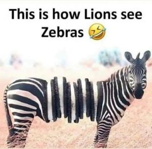 Stupid Bar Memes 4fbdfc1887322d56
