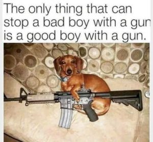 Stupid Bar Memes 5171309f7c43d67d