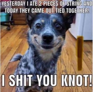 Stupid Bar Memes 52598c3e3334c1d3