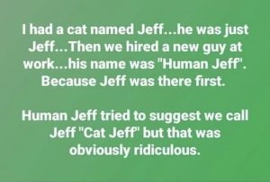 Stupid Bar Memes 54a980145b3421a1