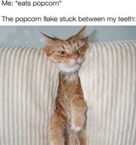 Stupid Bar Memes 576f871234ad8a61