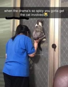 Stupid Bar Memes 5795b5968c17c83c